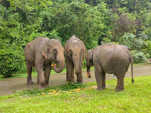 兽交人与马无码磁力搜索