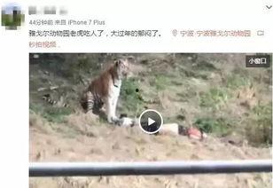 动物咬死人视频播放,动物咬人惨案视频引发社会关注